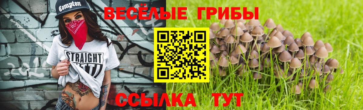 Псилоцибиновые грибы Cubensis  Вход с VPN  Благовещенск 