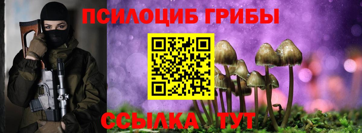 Псилоцибиновые грибы MAGIC MUSHROOMS Благовещенск