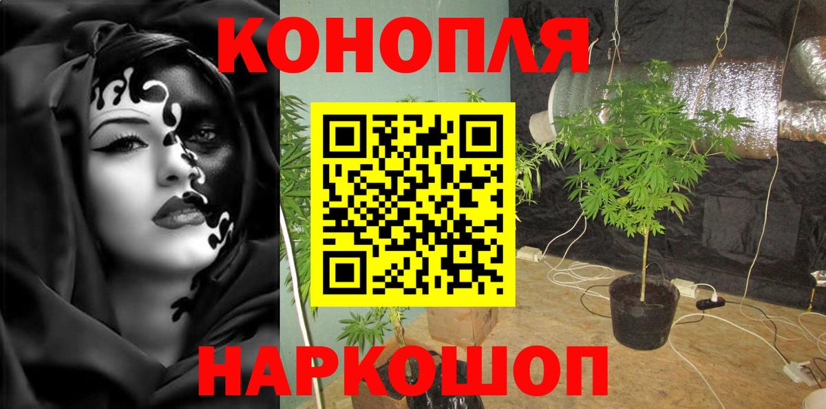Бошки марихуана гибрид  Канабис White Widow  Вход с VPN  Благовещенск  Каннабис гибрид 